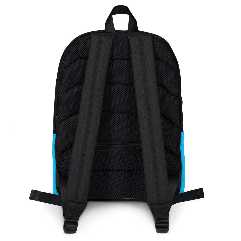 Backpack (Paw Print-Light Blue)